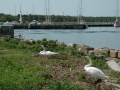 DSC_0002 (5)