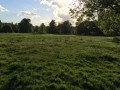 Hyde Park