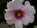 20190807_144057